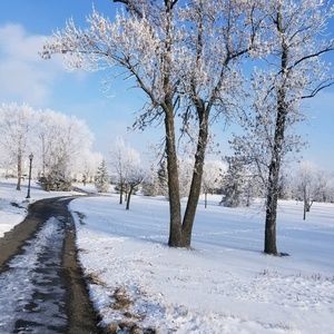 Meet your Posher, Manawa